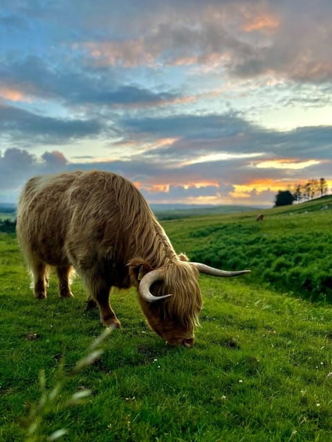Two Day Taster Tour of Skye and the Highlands - Introduction: A Scenic Scottish Snapshot