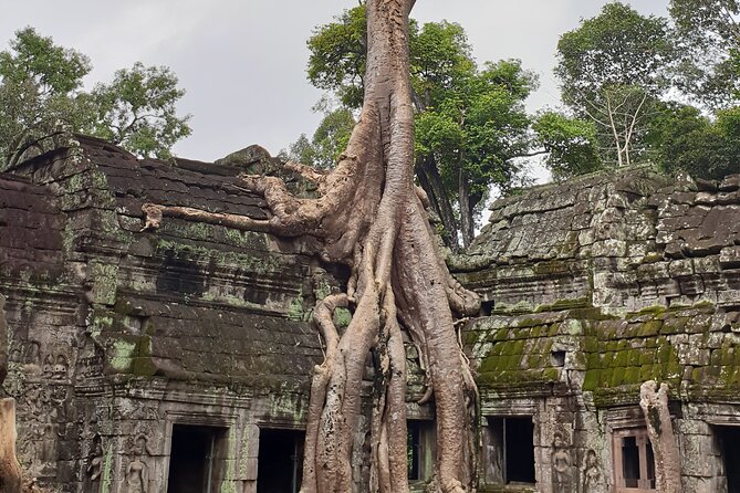 Two Days Angkor Tour - Best Places to Eat and Drink