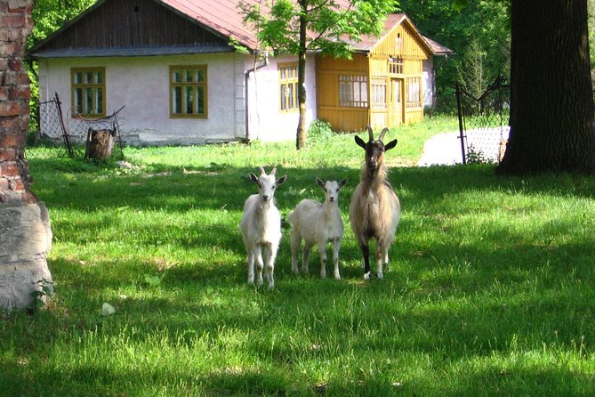 Two Days in the Polish Countryside - Private Tour From Krakow - What To Expect During the Tour
