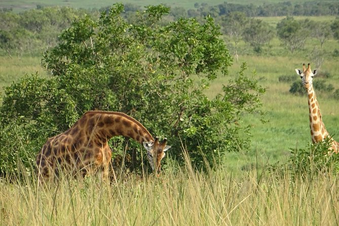 Two Days Lake Mburo Tour in Uganda - Itinerary Overview