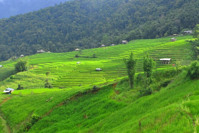 Two Days Rice Terraces Tour in Chiang Mai - Transportation and Accommodation