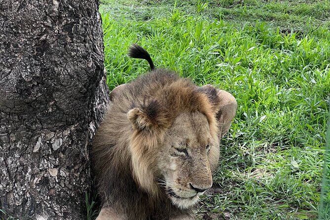 Two Days Safari by Train - The Journey Begins: What to Expect  