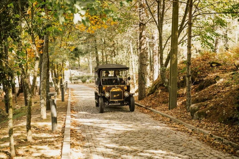 Two days to visit Fall Foliage in Douro Valley - Good To Know