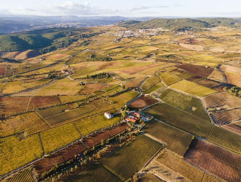 Two days to visit Fall Foliage in Douro Valley - The Itinerary Breakdown: What to Expect from Dawn to Dusk