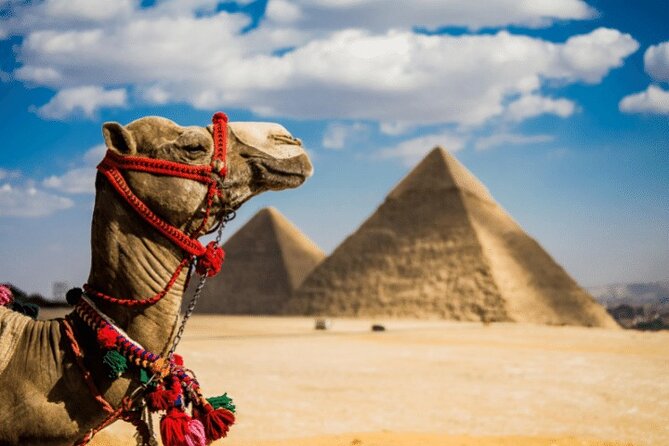 Two Days Tours From El Gouna to Cairo by Road - Tour Highlights