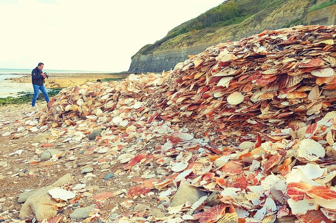 Two Days Ultimate Normandy D-Day Tour - From the First to the Last Battle - Expert Tour Guides