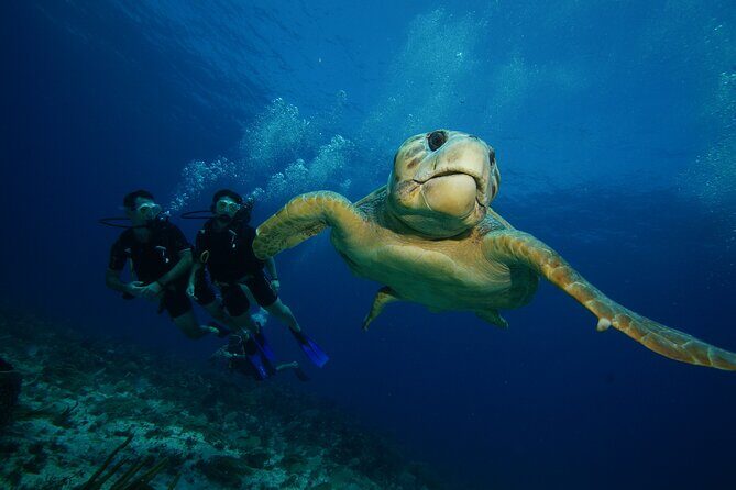 Two Dives and Class for Begginers Divers in Cancun - Who Should Consider This Tour?