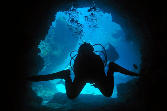 Two Dives in Fujairah for Certified Divers Including Transfers - Package Highlights