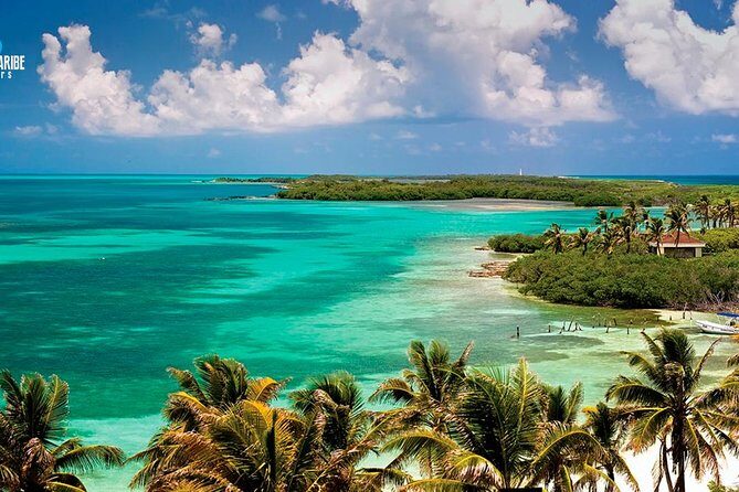 Two Fantastic Islands To Discover: Tour To Contoy & Isla Mujeres - Good To Know: