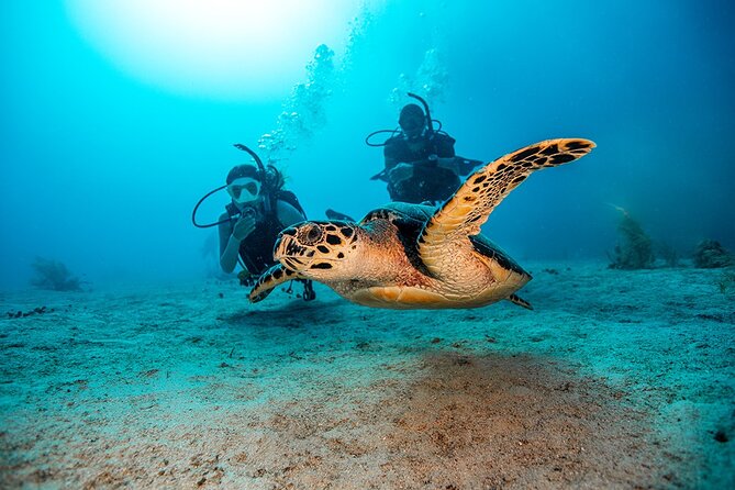 Two Fun Dives With Certified Divers on Phi Phi Island - Additional Requirements