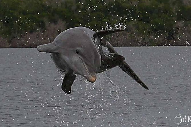 Two-Hour Everglades National Park Dolphin, Birding and Wildlife Boat Tour - Directions
