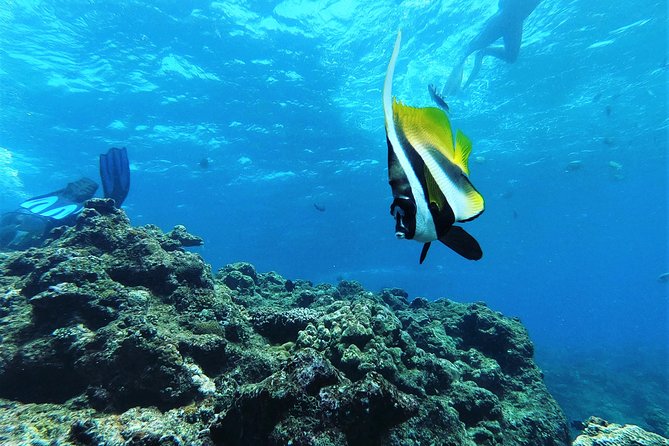 Two-Hour Group Snorkeling Trip to the Blue Cave  - Onna-son - Overview and Activities