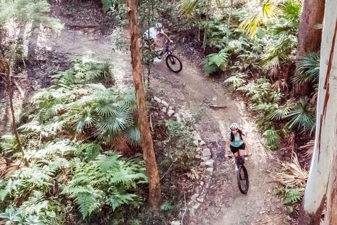 Two-Hour Guided Electric Mountain Bike Tour  - Noosa & Sunshine Coast - Common Questions