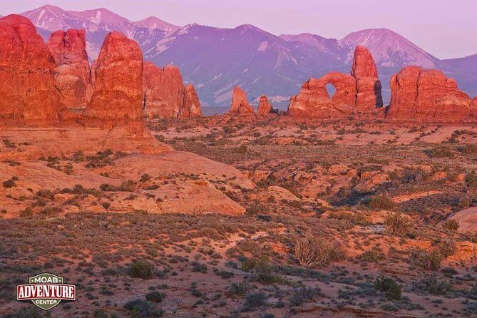 Two-Hour Hummer Safari - Who Will Love This Tour?