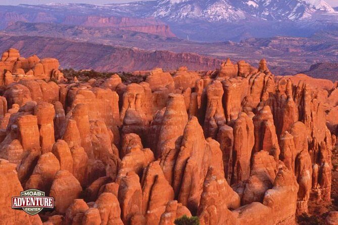 Two-Hour Hummer Safari - The Experience in Context