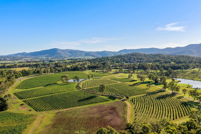 Two-Hour Winery Tour, Tastings, and Canapes, Brokenwood Wines  - Hunter Valley - The Sum Up