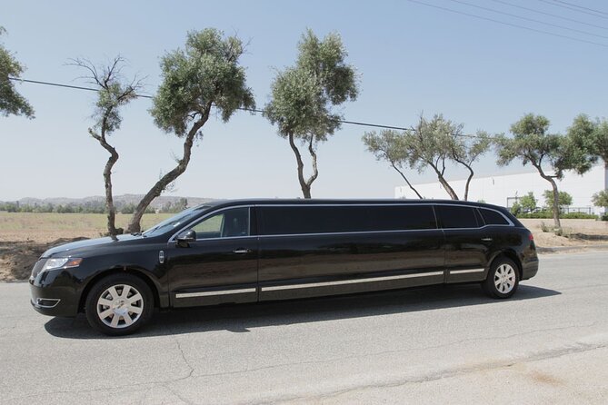 Two Hours Private Limo Rental With Chauffeur in Dubai - Pricing and Group Options