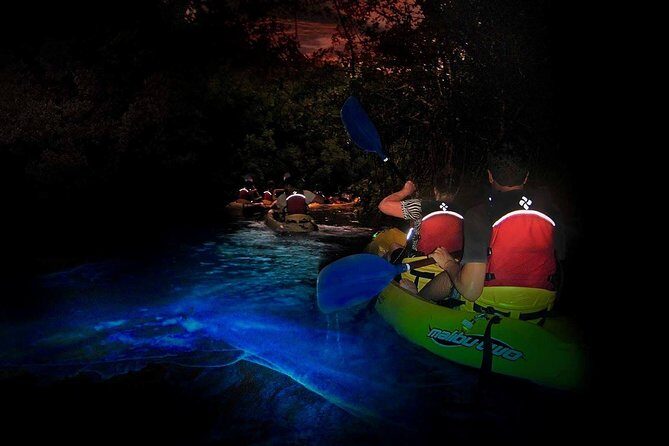 Two-in-One Day Trip: El Yunque and Bio Bay Tour with Transport - Good To Know