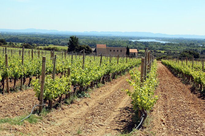 Two intensive days discover exceptional wines of the Rhône valley - The Details: Transport, Meals, and Personal Touches