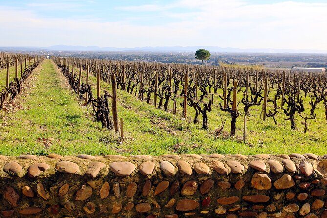 Two intensive days discover exceptional wines of the Rhône valley - Final Thoughts