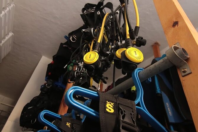 Two Morning Dives in Gozo for Certified Diver - Dive Site Exploration Highlights
