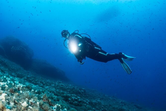 Two Morning Dives in Gozo for Certified Diver - Certified Dive Instructors Information