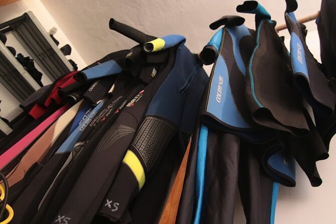 Two Morning Dives in Gozo for Certified Diver - Reviews and Traveler Feedback