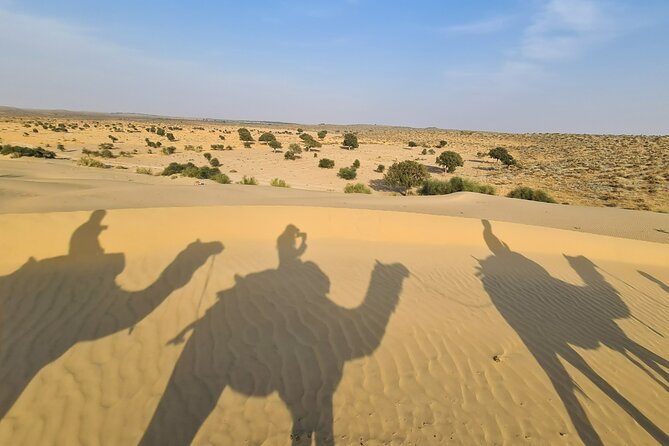 Two-Night Camel Safari and Desert Camping - Pricing and Booking Details