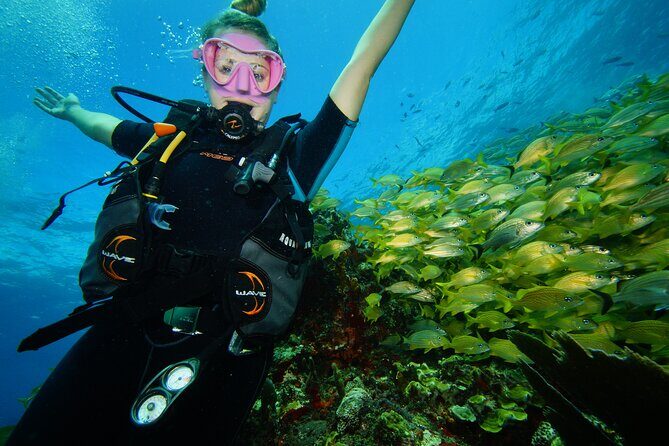 Two Reefs For Certified Divers in Cancun - Good To Know