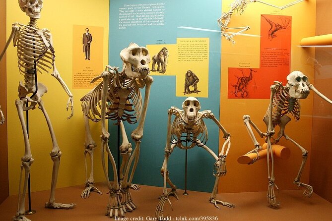 Two Smithsonian Museums: American & Natural History Private Tour - Traveler Photos and Reviews