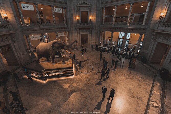 Two Smithsonian Museums: American & Natural History Private Tour - Testimonials