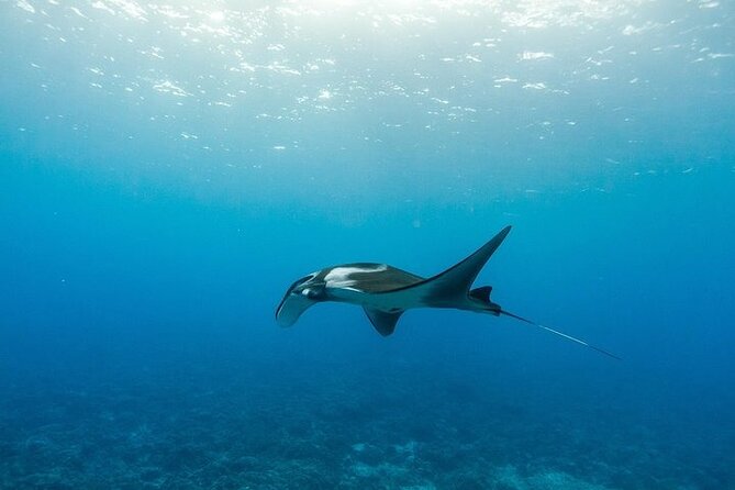 Two Stop Snorkel Adventure From Maui - Snorkeling Locations