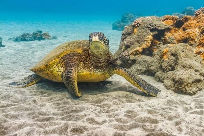 Two Stop Snorkel Adventure From Maui - Itinerary