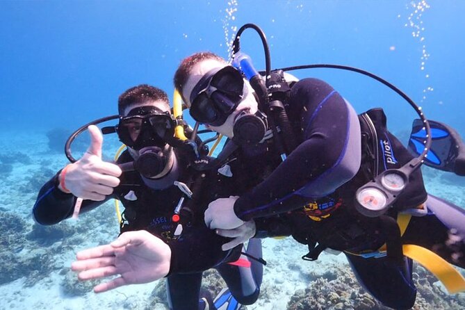 Two Stops for Amateur Diving - Price Variability and Guarantees
