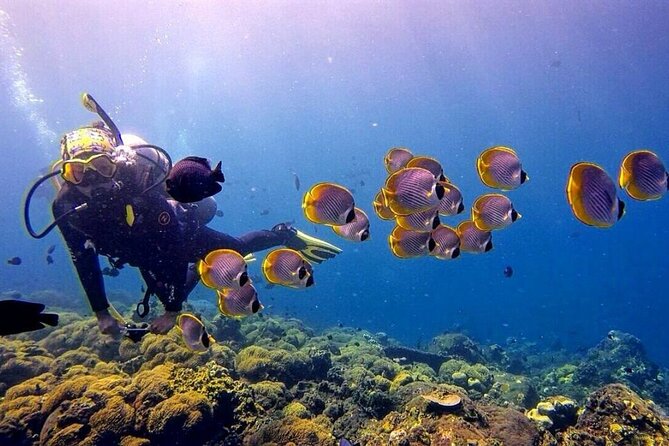 Two Stops for Amateur Diving - National Park Fees and Diving Equipment