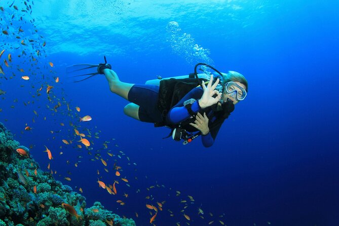 Two Stops for Amateur Diving - Accessibility and Group Size Limits