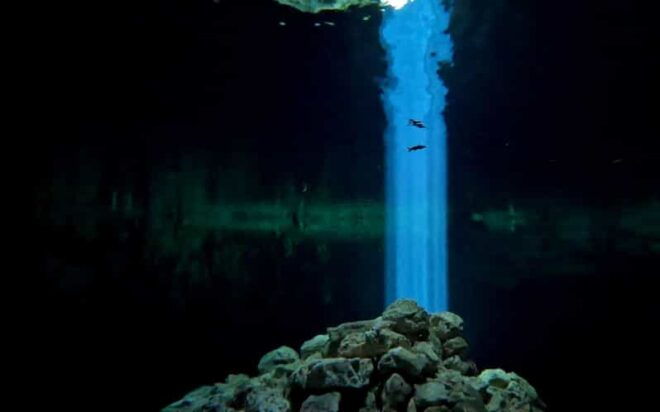 Two Tank Cavern Dive (Cenote Dive) - What to Bring