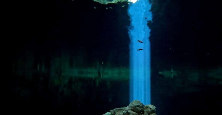 Two Tank Cavern Dive (Cenote Dive) - Good To Know
