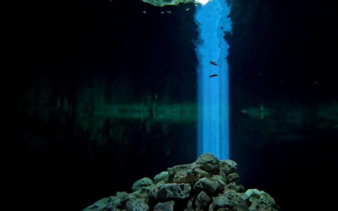 Two Tank Cavern Dive (Cenote Dive) - Diving Experience