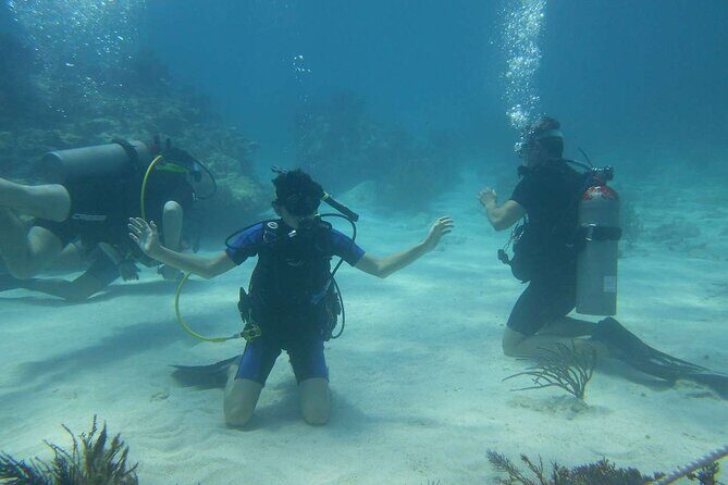 Two Tank Dive in Montego Bay w/Certified Divers - Good To Know
