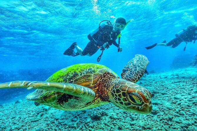 Two Tank Dive in Montego Bay With Certified PADI Instructor - Inclusions