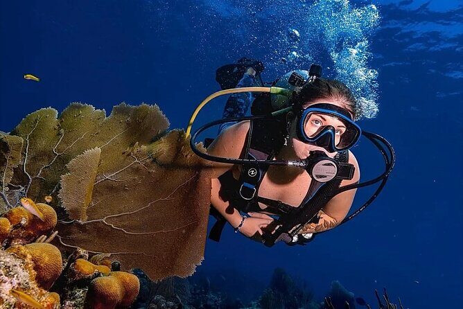 Two-Tank Morning Dive Trip for Certified Divers - Review Highlights and Insights