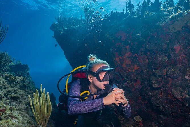 Two-Tank Morning Dive Trip for Certified Divers - Practical Tips for Future Divers