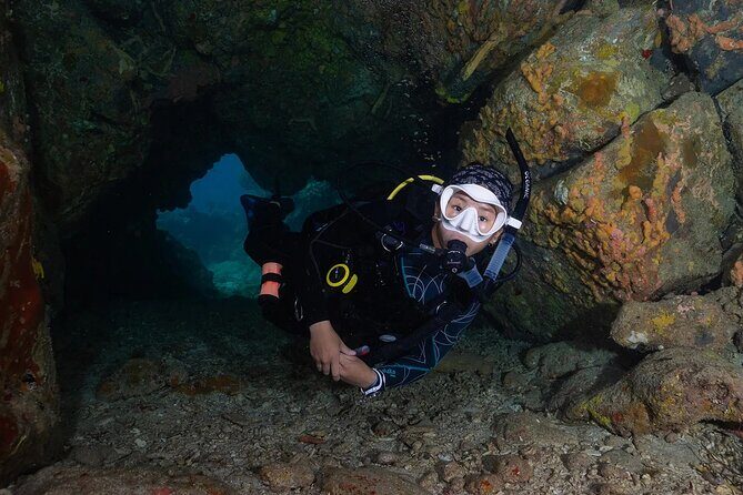 Two-Tank Morning Dive Trip for Certified Divers - Who Should Take This Tour?