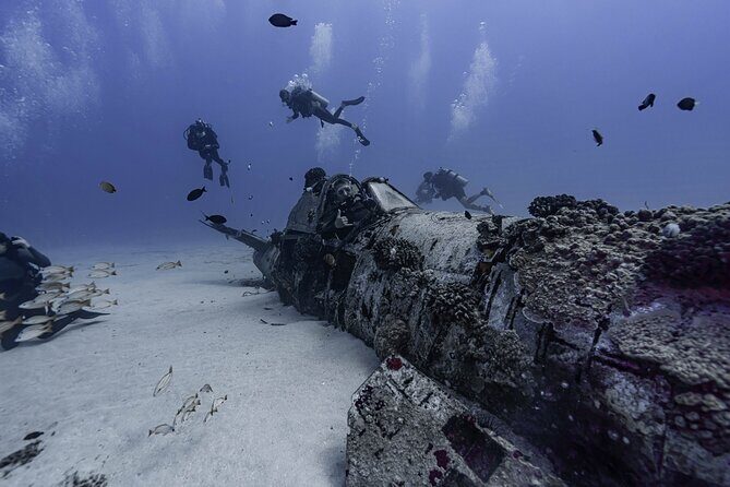 Two Tank Wreck and Drift Dive in Oahu - A Deeper Look at the Experience