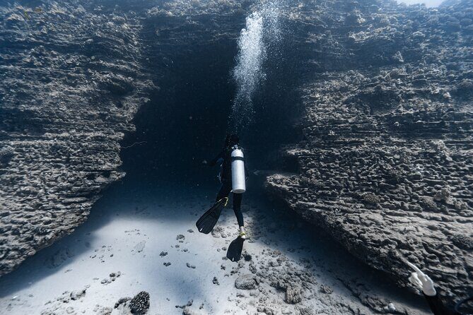 Two Tank Wreck and Drift Dive in Oahu - Who Should Consider This Tour?