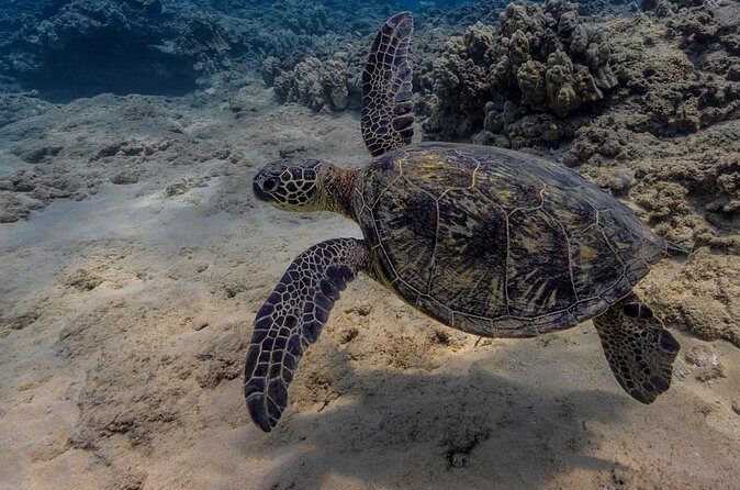 Two Tank Wreck and Drift Dive in Oahu - FAQ
