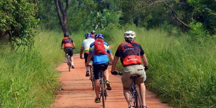 Two-Wheeled Toddy Hunting Adventure in Bentota. - Highlights of the Activity