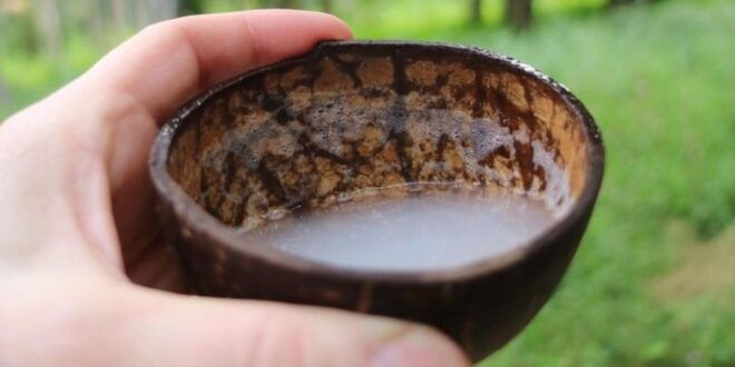 Two-Wheeled Toddy Hunting Adventure in Bentota. - Full Description of the Activity
