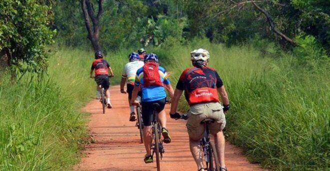 Two-Wheeled Toddy Hunting Adventure in Bentota. - Inclusions